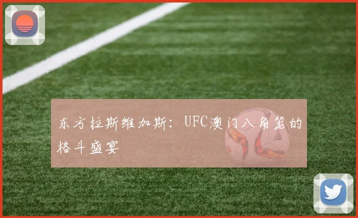 东方拉斯维加斯:UFC澳门八角笼的格斗盛宴