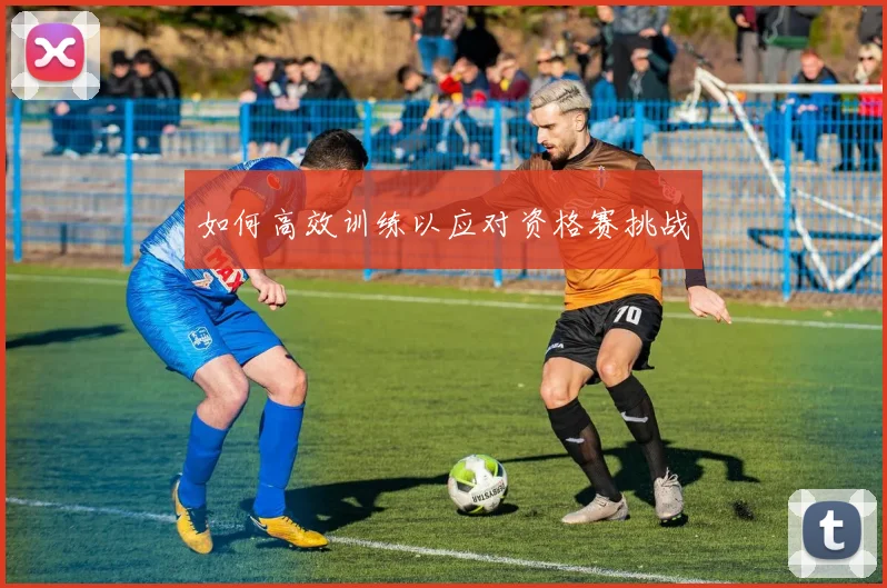 如何高效训练以应对资格赛挑战