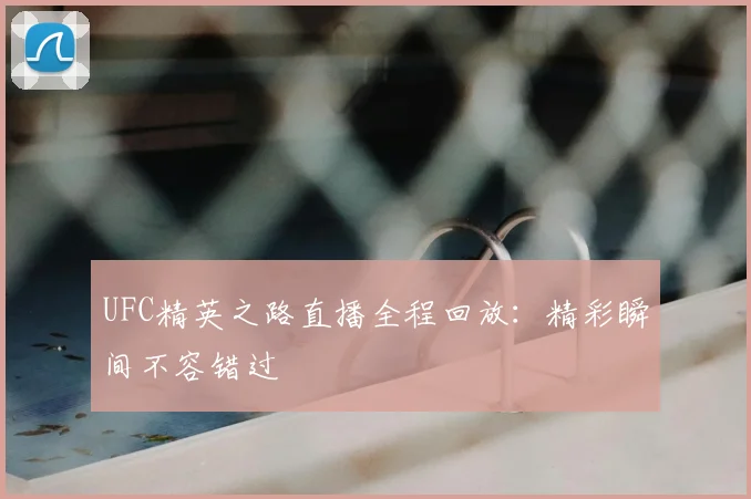 UFC精英之路直播全程回放：精彩瞬间不容错过