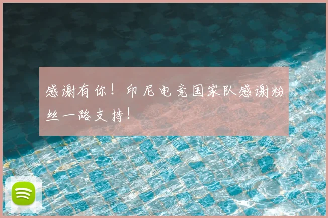 感谢有你！印尼电竞国家队感谢粉丝一路支持！