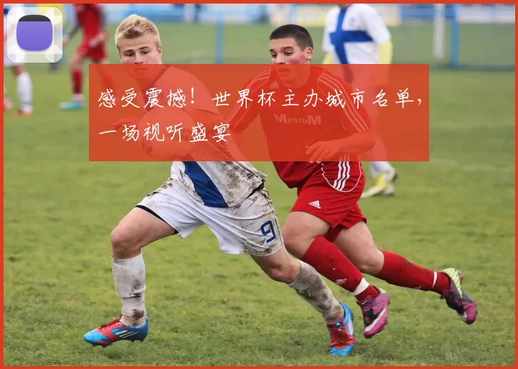 感受震撼！世界杯主办城市名单，一场视听盛宴