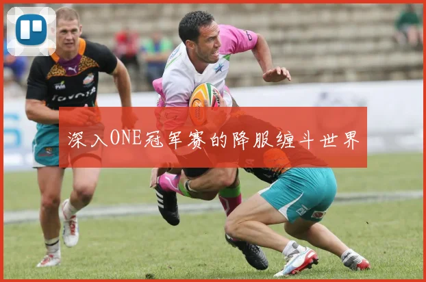 深入ONE冠军赛的降服缠斗世界