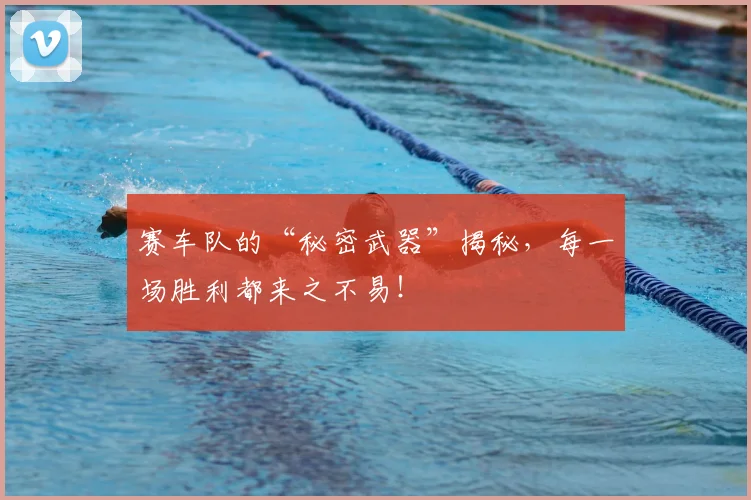 赛车队的“秘密武器”揭秘,每一场胜利都来之不易!
