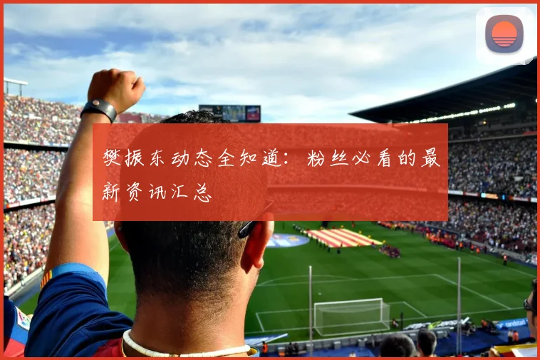 樊振东动态全知道:粉丝必看的最新资讯汇总