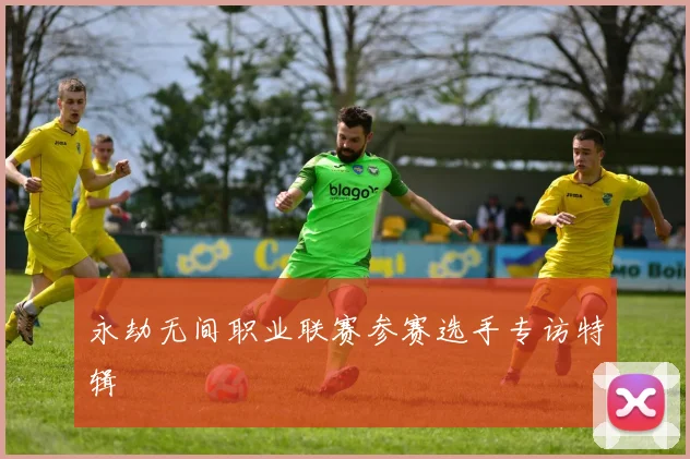 永劫无间职业联赛参赛选手专访特辑