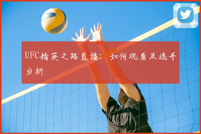 UFC精英之路直播：如何观看及选手分析